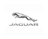 Jaguar<ジャガー>